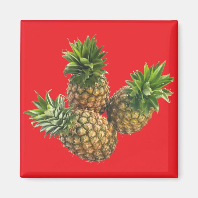 Aimant Ananas (Devant)