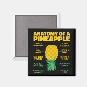 Aimant Anatomie D'Un Ananas Drôle Amateurs D'Ananas Cool