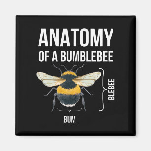 Aimant Anatomie D'Un Bumblebee Drôle Humour Sarcastique C