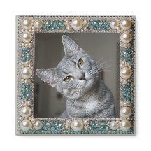 Ancre de mémoire de chat gris
