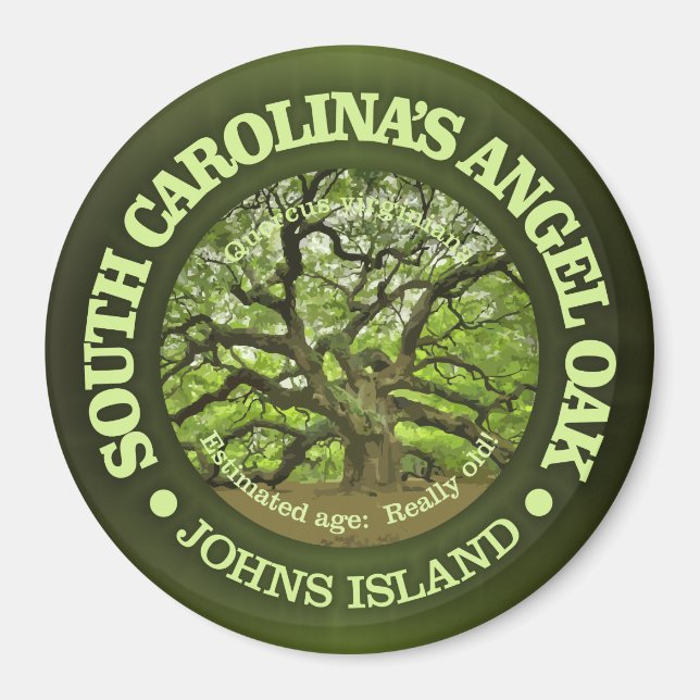 Aimant Angel Oak (Devant)