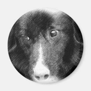 Aimant animal noir d'art de border collie