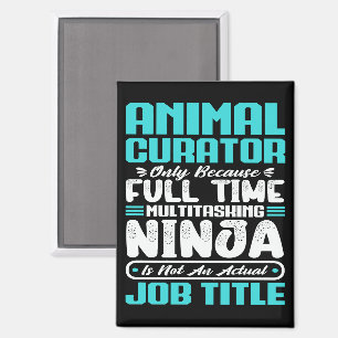 Aimant Animateur Titre du travail Profession Compétences