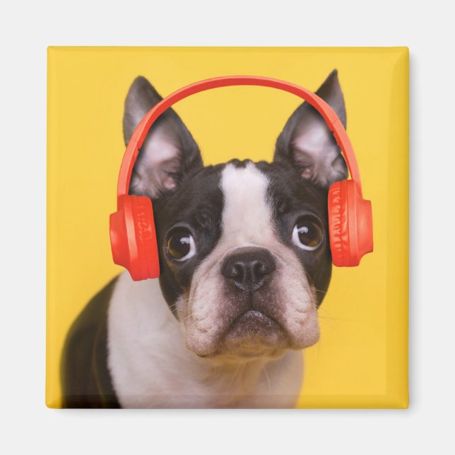 Aimant Animaux de bébés cutest | Casques Terrier de Bosto (Devant)