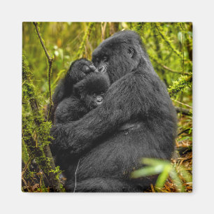 Aimant Animaux de bébés cutest Gorilla & bébé