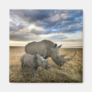 Aimant Animaux de bébés cutest   White Rhino & Calf