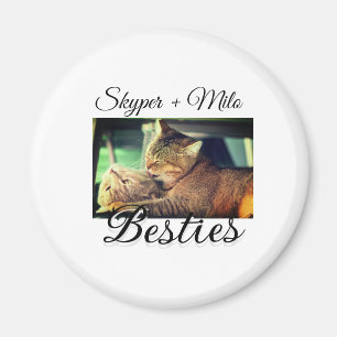 Aimant Animaux de compagnie amis besties ajouter nom anim
