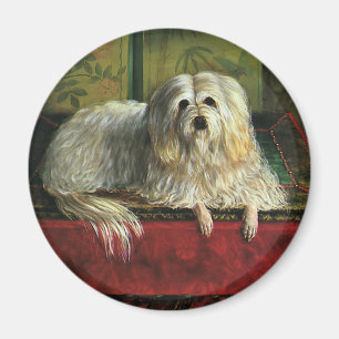Aimant Animaux de compagnie vintage, chien Berger aux poi