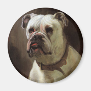 Aimant Animaux de compagnie vintages, Portrait de chien d
