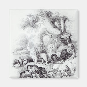 Aimant Animaux sauvages 'd'une histoire de la terre