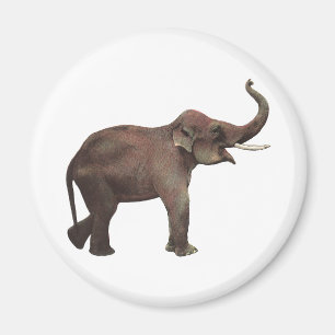 Aimant Animaux sauvages vintage, Éléphants d'Asie bonne c