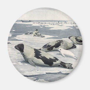 Aimant Animaux sauvages vintages, Phoques du port arctiqu