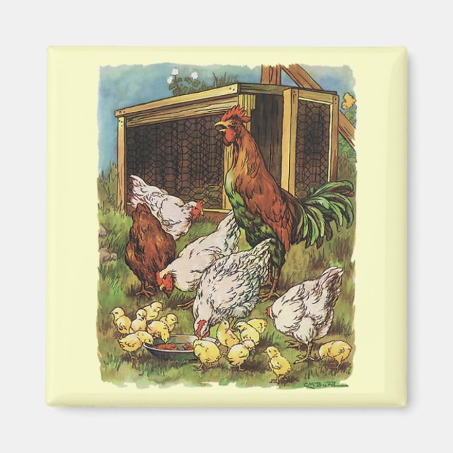 Aimant Animaux vintages, Coq, Poules, Poulets (Devant)