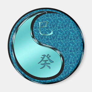 Aimant Année du serpent d'eau