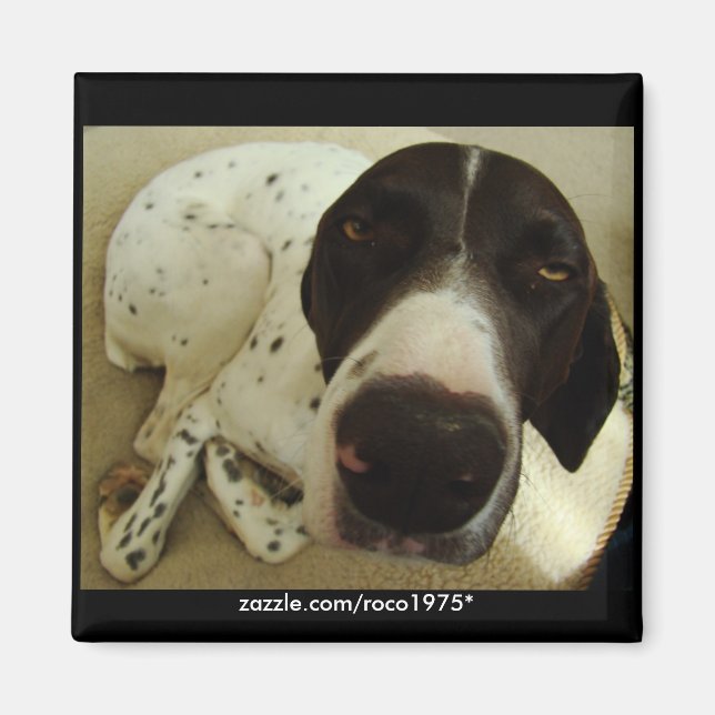 Aimant Années de chien (Devant)