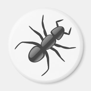 Aimant Ant