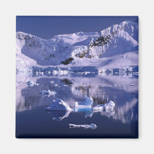 Aimant Antarctique, baie de Paradise