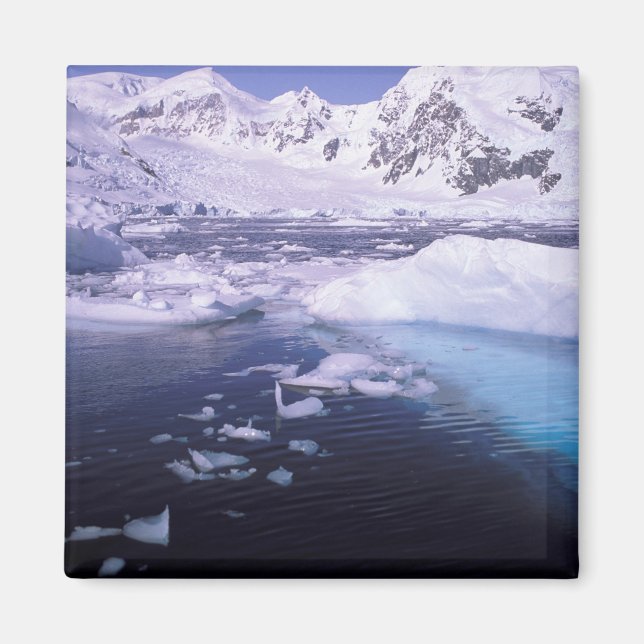 Aimant Antarctique. Expédition à travers des échappées de (Devant)