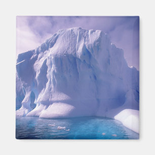 Aimant Antarctique. Sauvages de glace antarctique