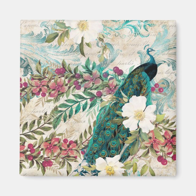 Aimant Antique Illustrated Peacock & Flowers Grunge (Devant)