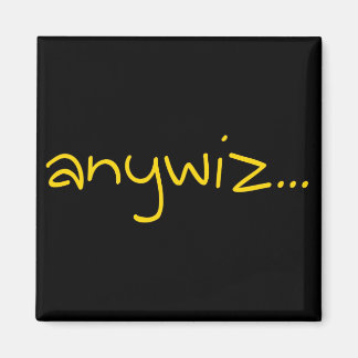 Aimant anywiz