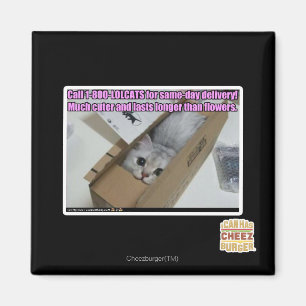 Aimant Appel 1-800-LOLCATS