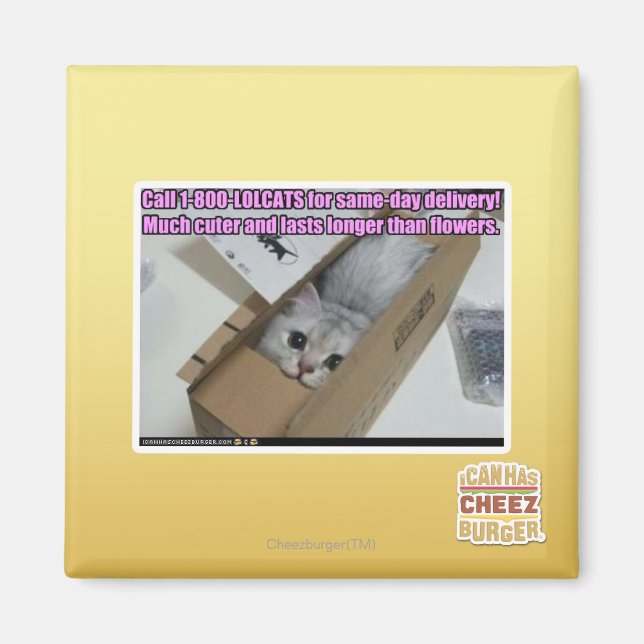 Aimant Appelez 1-800-LOLCATS (Devant)