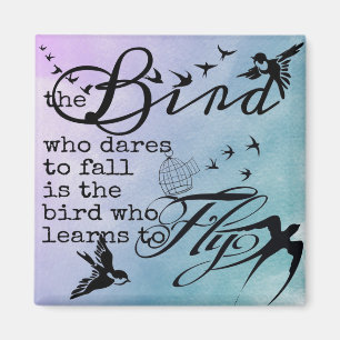 Aimant Apprenez à voler