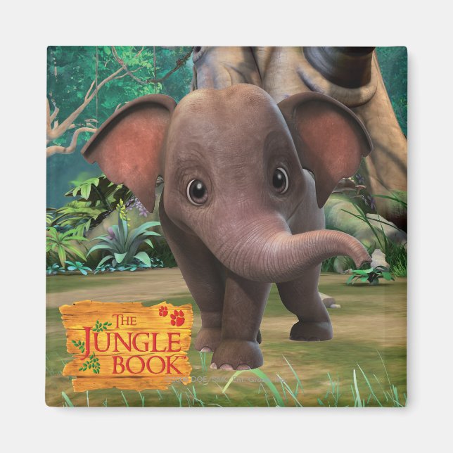 Aimant Appu (Devant)