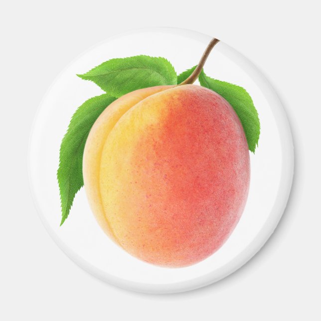 Aimant Apricot frais (Devant)