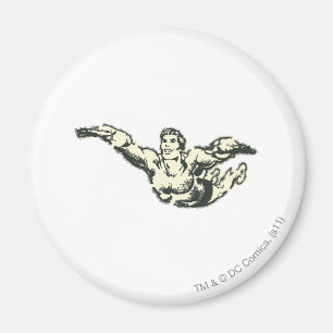 Aimant Aquaman Soars BW