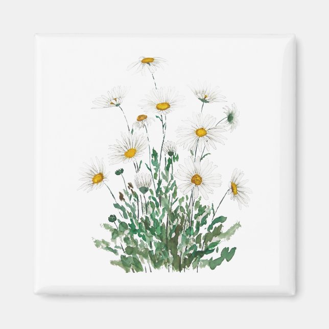 Aimant aquarelle blanche Margaret daisy (Devant)