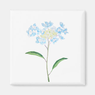 Aimant aquarelle bleu hydrangea