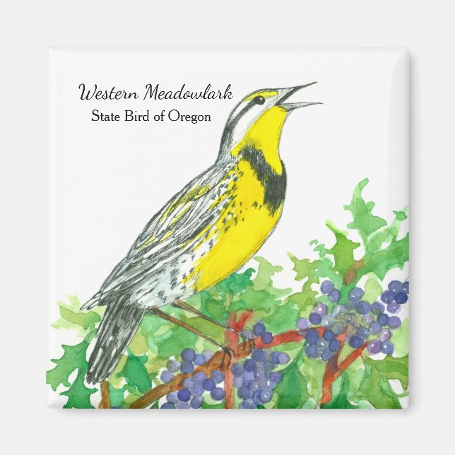 Aimant Aquarelle botanique de Meadowlark, raisin de l'Ore (Devant)