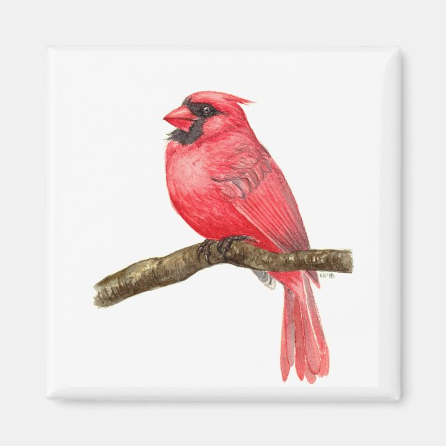 Aimant Aquarelle cardinale (Devant)