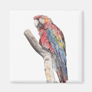 Aimant Aquarelle colorée de perroquet macaw