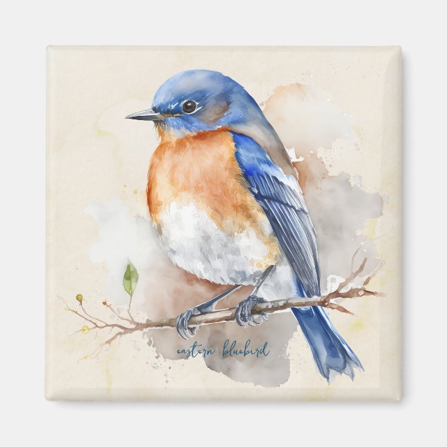Aimant Aquarelle de Little Eastern Bluebird (Devant)