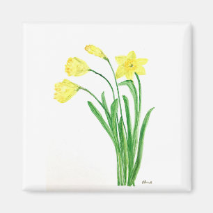 Aimant Aquarelle fleurie de printemps jaune jonquilles fl
