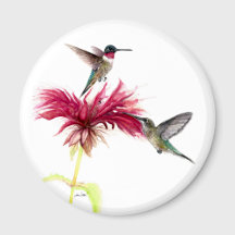 Aquarelle florale des colibris