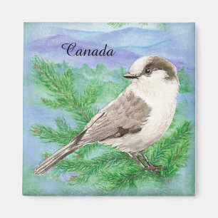 Aimant Aquarelle Gris, Gris ou Canada Jay Bird Custom
