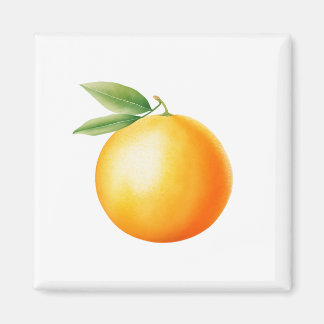Aimant Aquarelle Orange