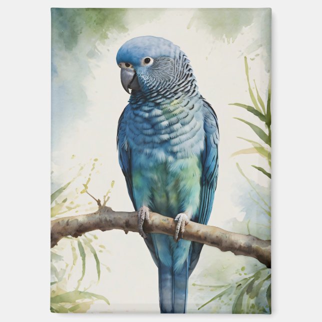 Aimant Aquarelle Parakee bleu Eucalyptus Tree (Recto)