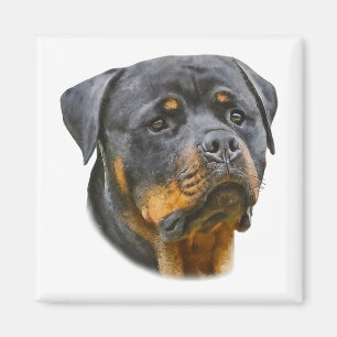 Aimant Aquarelle Rottweiler