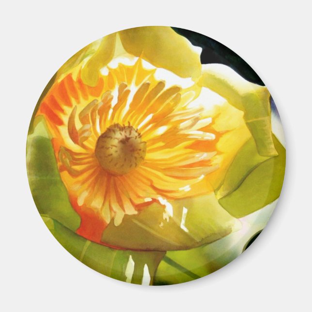 Aimant Aquarelle "Tulip Poplar" Jaune (Devant)