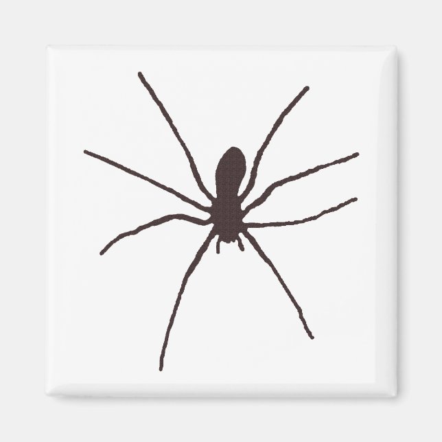 Aimant Araignée (Devant)