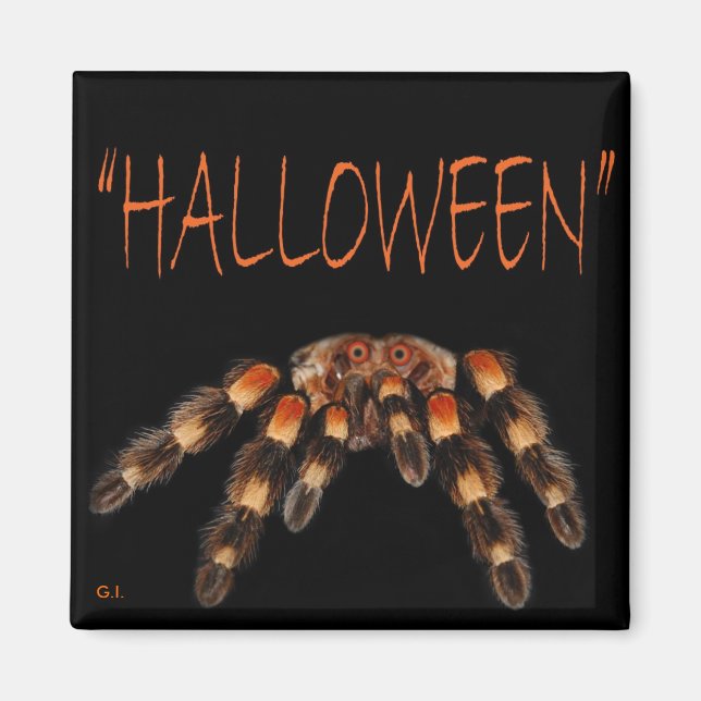 Aimant Araignée d'Halloween (Devant)