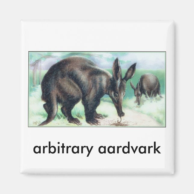 Aimant arbitraire aardvark (Devant)