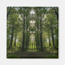 Arborescence du portail - Conception d'images #2
