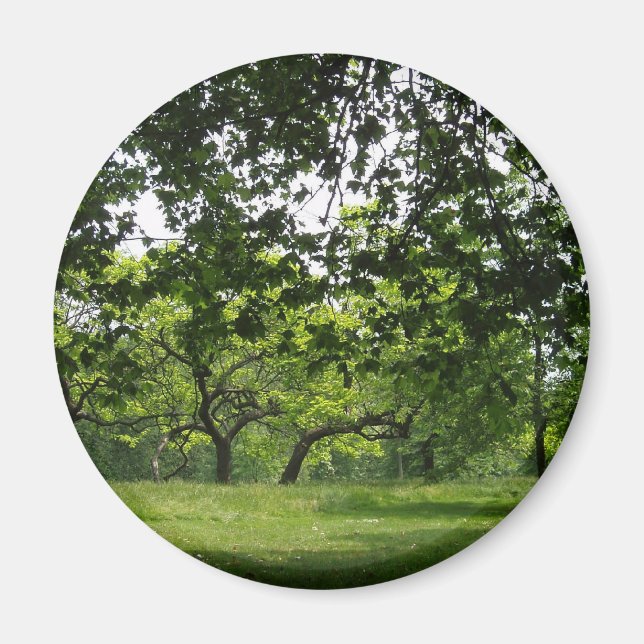 Aimant Arbre (Devant)