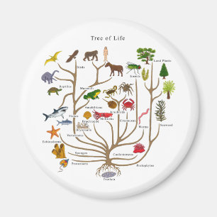 Aimant Arbre de la vie